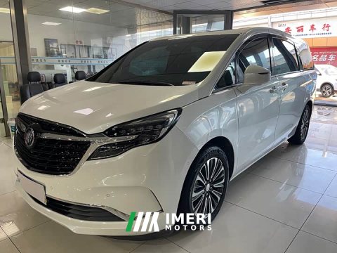 2021 Buick GL8 ES Land Respect 653T Luxury - ავტომობილი ჩინეთიდან