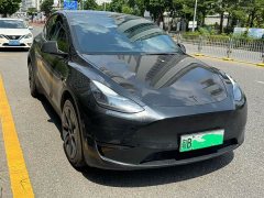 Tesla Model Y Rear-Wheel Drive - ფოტო 2