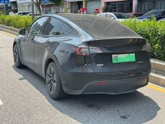 Tesla Model Y Rear-Wheel Drive - ფოტო 8