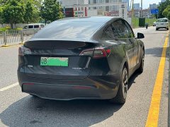 Tesla Model Y Rear-Wheel Drive - ფოტო 9