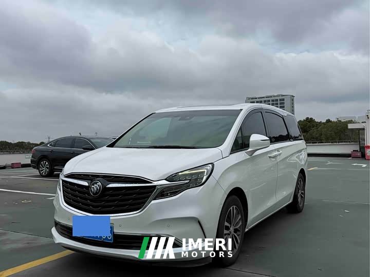 Buick GL8 ES Land Respect 653T Respect Enjoyment Edition - car from China