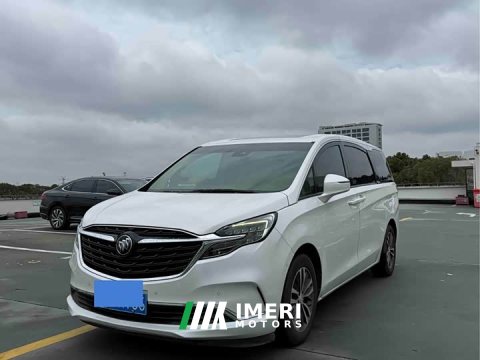 2021 Buick GL8 ES Land Respect 653T Respect Enjoyment Edition - ავტომობილი ჩინეთიდან