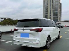 Buick GL8 ES Land Respect 653T Respect Enjoyment Edition - photo 3