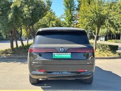 Denza BYD Denza N9 Flagship - ფოტო 8
