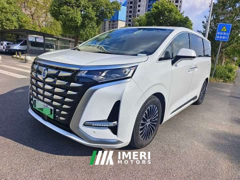 2023 Denza D9 DM-i 1040 Premium