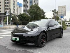 Tesla Model 3 Facelift Standard Range RWD Upgrade 3D1 - ფოტო 1