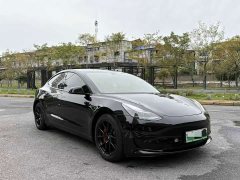 Tesla Model 3 Facelift Standard Range RWD Upgrade 3D1 - ფოტო 2