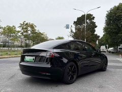 Tesla Model 3 Facelift Standard Range RWD Upgrade 3D1 - ფოტო 5