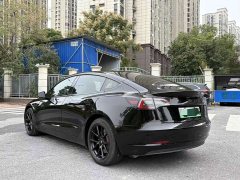 Tesla Model 3 Facelift Standard Range RWD Upgrade 3D1 - ფოტო 6