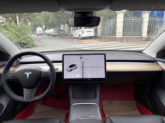 Tesla Model 3 Facelift Standard Range RWD Upgrade 3D1 - ფოტო 9