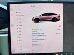 Tesla Model X Dual Motor All-Wheel Drive - ფოტო 6