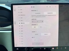 Tesla Model X Dual Motor All-Wheel Drive - ფოტო 8