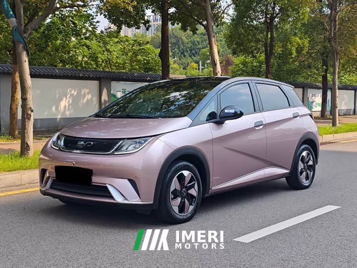 BYD Dolphin 420km Fashion Edition - ავტომობილი ჩინეთიდან