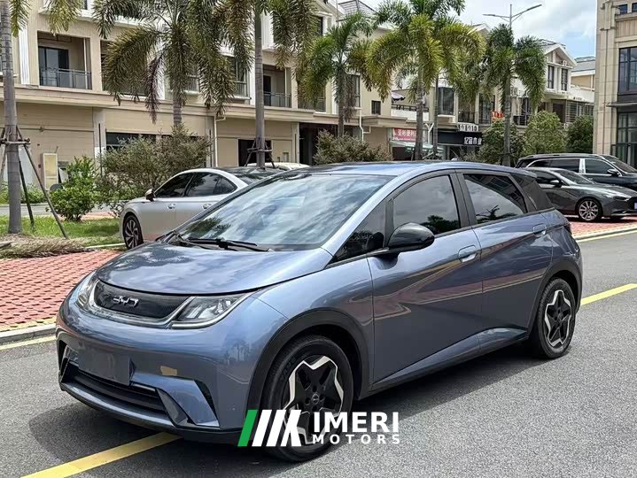 BYD Dolphin 2023 420km Fashion Edition - ავტომობილი ჩინეთიდან