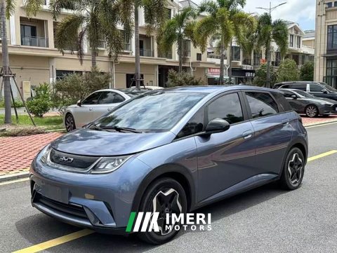 2024 BYD Dolphin 2023 420km Fashion Edition - ავტომობილი ჩინეთიდან
