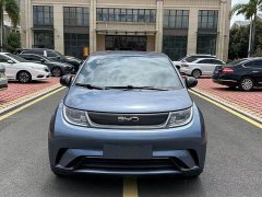 BYD Dolphin 2023 420km Fashion Edition - ფოტო 2