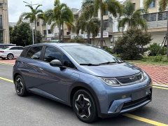 BYD Dolphin 2023 420km Fashion Edition - ფოტო 3
