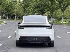 Tesla Model Y Rear-Wheel Drive - ფოტო 11