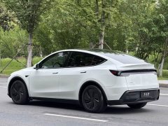 Tesla Model Y Rear-Wheel Drive - ფოტო 12