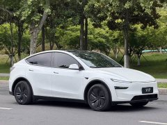 Tesla Model Y Rear-Wheel Drive - ფოტო 3