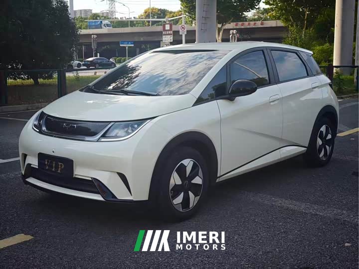 BYD Dolphin Smart Drive 420km Freedom Edition - ავტომობილი ჩინეთიდან