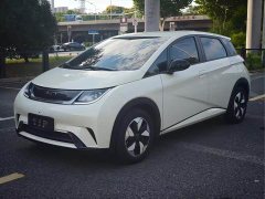 BYD Dolphin Smart Drive 420km Freedom Edition - ფოტო 1