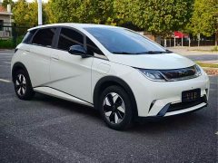 BYD Dolphin Smart Drive 420km Freedom Edition - ფოტო 3