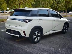 BYD Dolphin Smart Drive 420km Freedom Edition - ფოტო 7