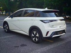 BYD Dolphin Smart Drive 420km Freedom Edition - ფოტო 9