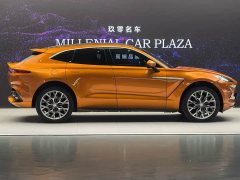 Aston Martin DBX 3.0T Straight-Six - ფოტო 8