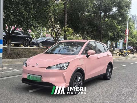 2022 Neta V Tide 400 Lite Pink Custom Edition - ავტომობილი ჩინეთიდან