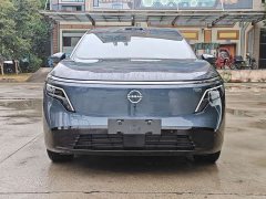 Nissan NX8 Pure Electric 650 Max - photo 2