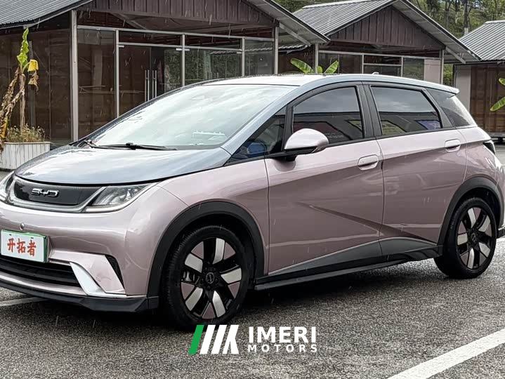 BYD Dolphin 401km Knight Edition