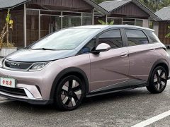 BYD Dolphin 401km Knight Edition - ფოტო 1
