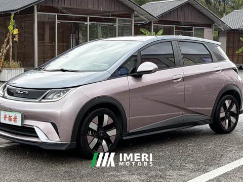 2022 BYD Dolphin 401km Knight Edition - ავტომობილი ჩინეთიდან
