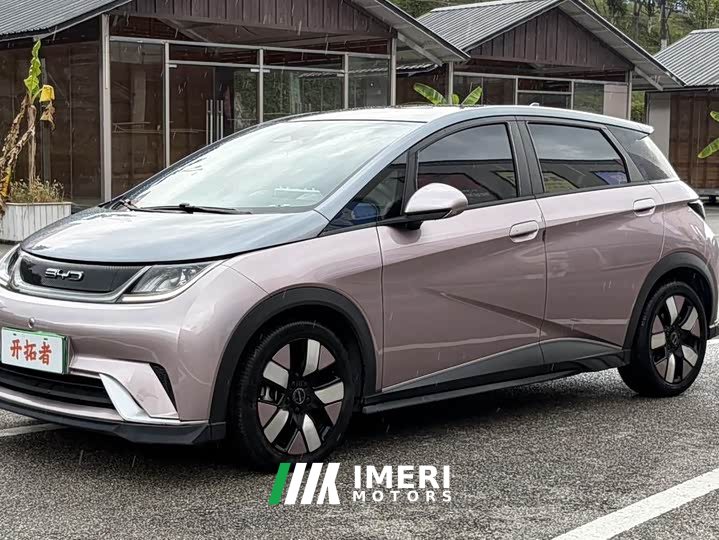 BYD Dolphin 401km Knight Edition