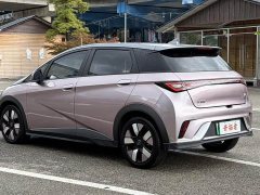 BYD Dolphin 401km Knight Edition - ფოტო 4