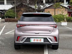 BYD Dolphin 401km Knight Edition - ფოტო 6