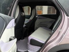 BYD Dolphin 401km Knight Edition - ფოტო 8
