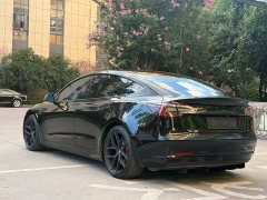 Tesla Model 3 Performance All-Wheel Drive - ფოტო 6