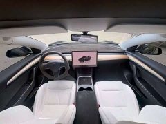 Tesla Model 3 Performance All-Wheel Drive - ფოტო 8