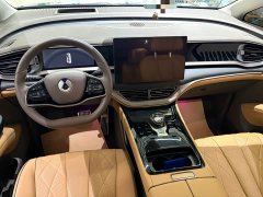 Denza BYD Denza D9 2022 DM-i 970 AWD Premium Edition - photo 4