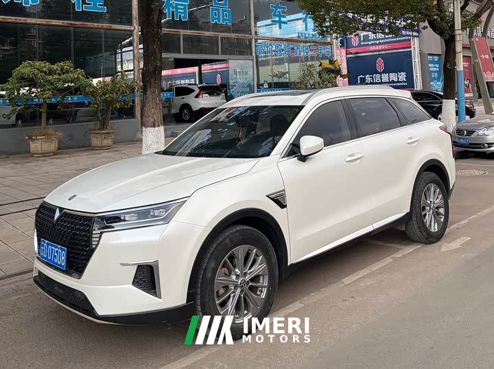 Nissan Raize 2020 260T Automatic 48V Mild Hybrid Turbo Star Enjoy Edition - ავტომობილი ჩინეთიდან