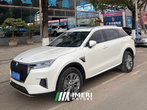 2021 Nissan Raize 2020 260T Automatic 48V Mild Hybrid Turbo Star Enjoy Edition - ავტომობილი ჩინეთიდან