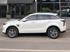 Nissan Raize 2020 260T Automatic 48V Mild Hybrid Turbo Star Enjoy Edition - ფოტო 3