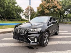 Great Wall Wey VV5 2020 1.5T 2WD Pioneer Trend - ფოტო 1