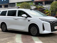 BYD Summer 2026 DM-i 1.5T 218KM Excellence Edition - photo 3