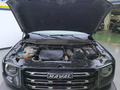 Haval Big Dog 2022 1.5T DCT two-wheel drive Border Collie version - ფოტო 10