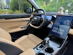 Geely Boyue L 1.5TD DCT Luxury - фото 13