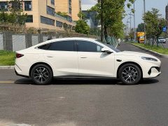 BYD Dolphin 06 DM-i Smart Drive 120KM Premium Edition - photo 4